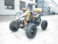 /album/atv-125cc-quad-kawasaki-estilo-go-kart-buggy/a125-atv-jpg/